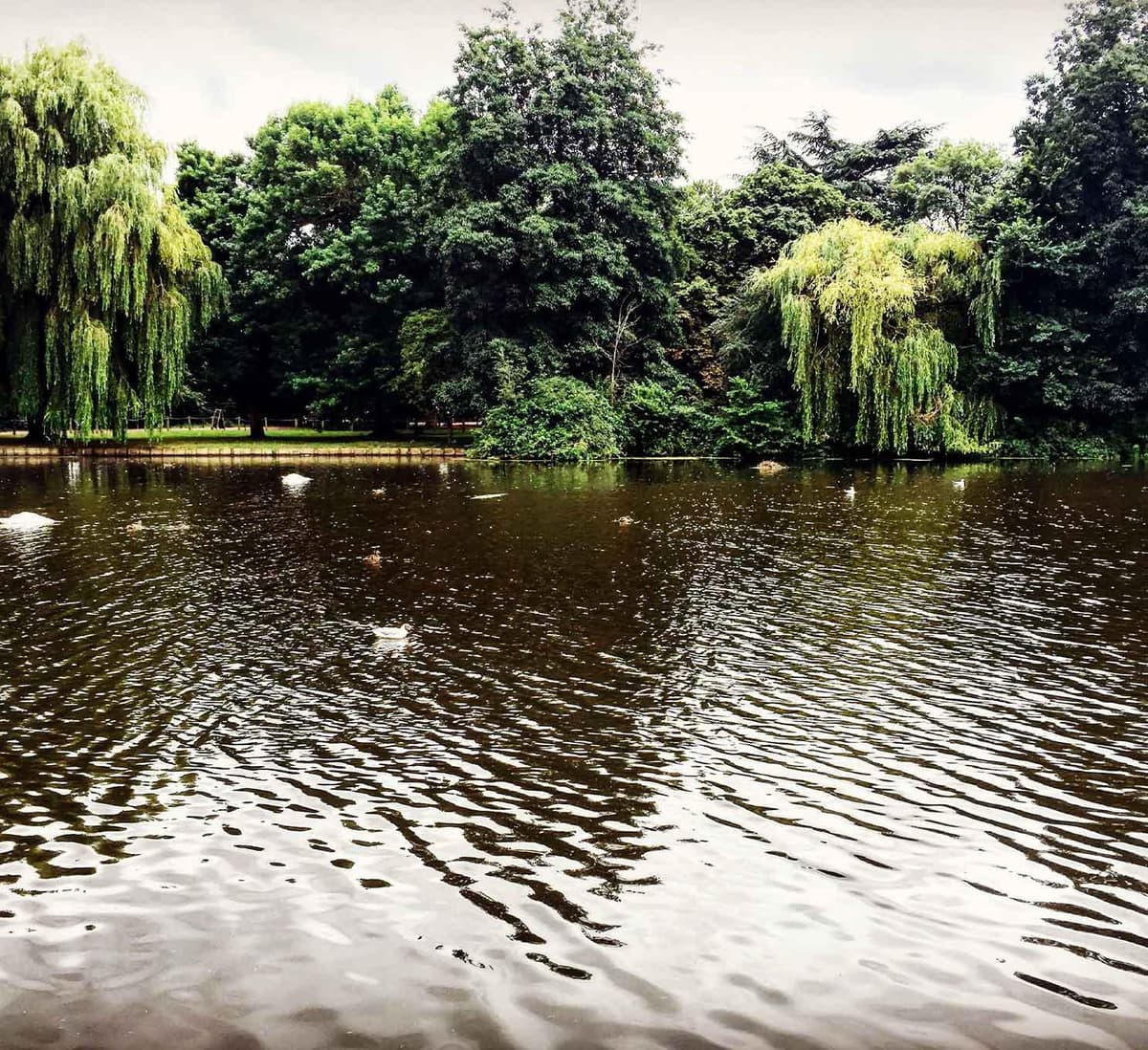 About Us -  A. Spicer & Son Funeral Directors in South East England